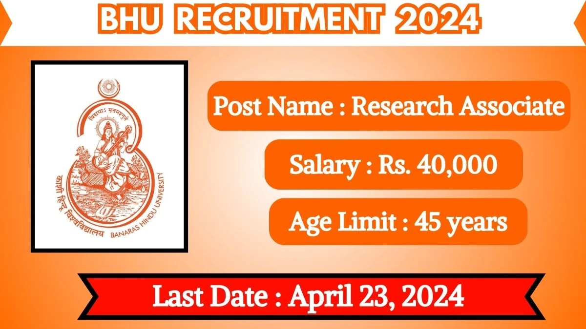 BHU Recruitment 2024 Notification Out For 01 Vacancies, Check Posts, Qualification, Monthly Salary, And Other Details