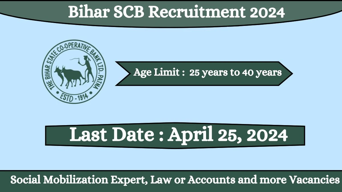 Bihar SCB Recruitment 2024 Apply for Social Mobilization Expert, Law or Accounts and more Vacancies @ biharscb.co.in