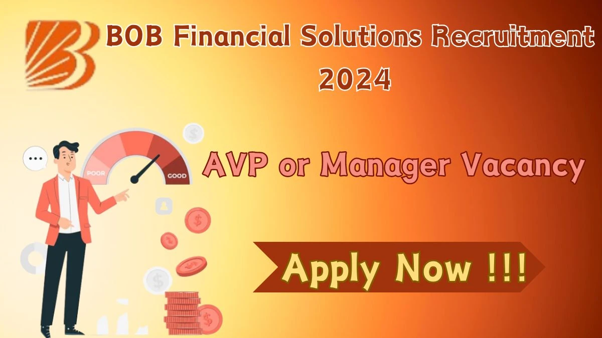 BOB Financial Solutions Recruitment 2024 Apply for 01  AVP or Manager Jobs @ bobfinancial.com