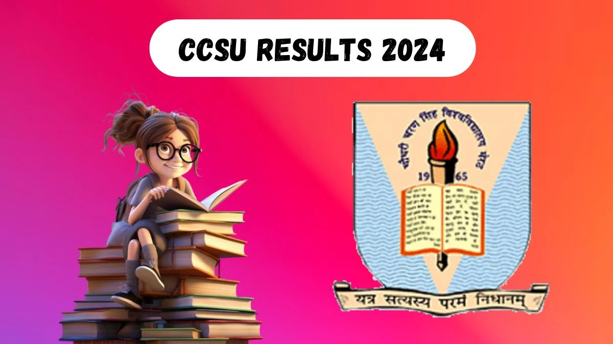 CCSU Results 2024 (Released) at ccsuniversity.ac.in Check BBA 5th Sem Result 2024