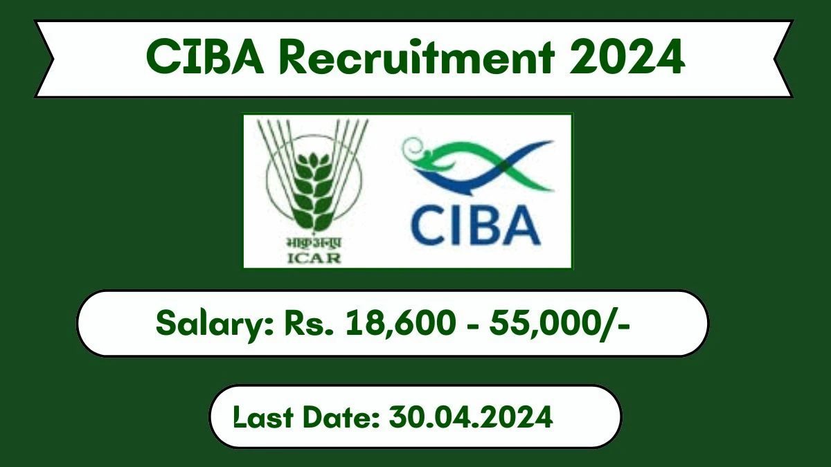 CIBA Recruitment 2024 Monthly Salary Up To 55,000, Check Posts, Vacancies, Qualification, Age, Selection Process and How To Apply