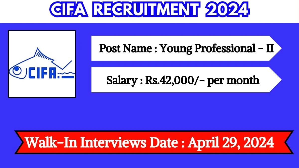 CIFA Recruitment 2024 Walk-In Interviews for Young Professional on April 29, 2024