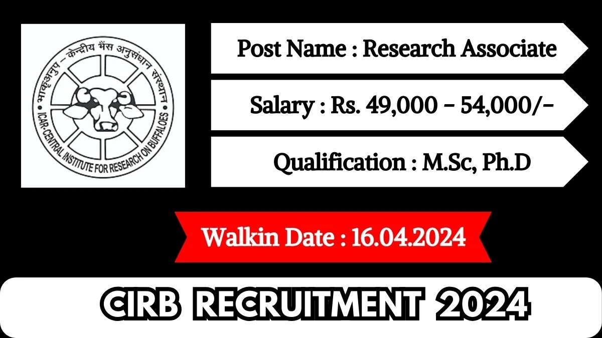 CIRB Recruitment 2024 Walk-In Interviews for Research Associate on 16.04.2024