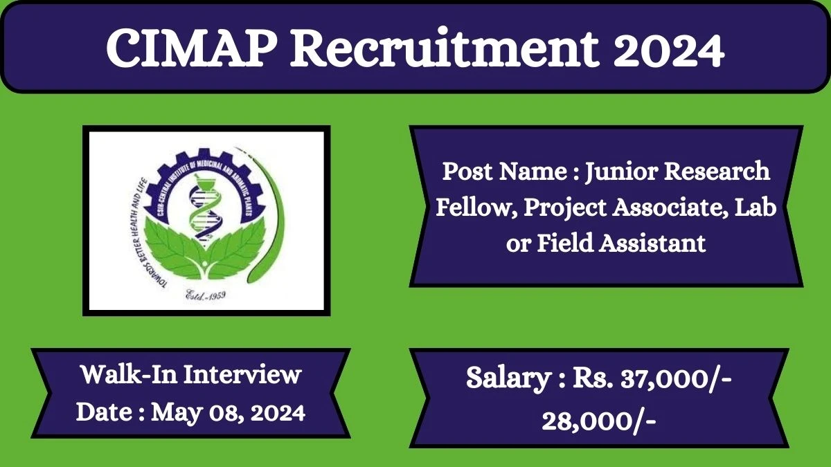 CSIR- CIMAP Recruitment 2024 Walk-In Interviews for Junior Research Fellow, Project Associate, Lab or Field Assistant on May 08, 2024