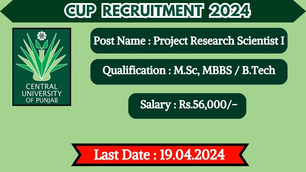 CUP Recruitment 2024 Monthly Salary Up To 56,000, Check Posts, Vacancies, Qualification, Age, Selection Process and How To Apply