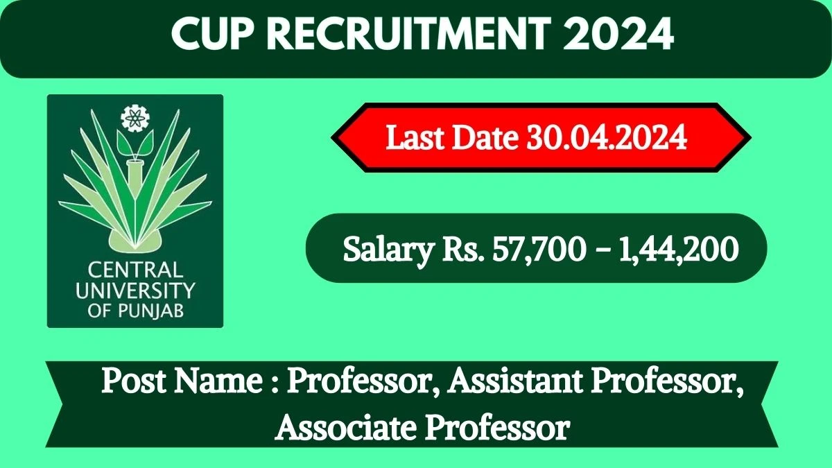 CUP Recruitment 2024: New Notification Out, Check Post, Salary, Qualification, Age Limit and Interview Details