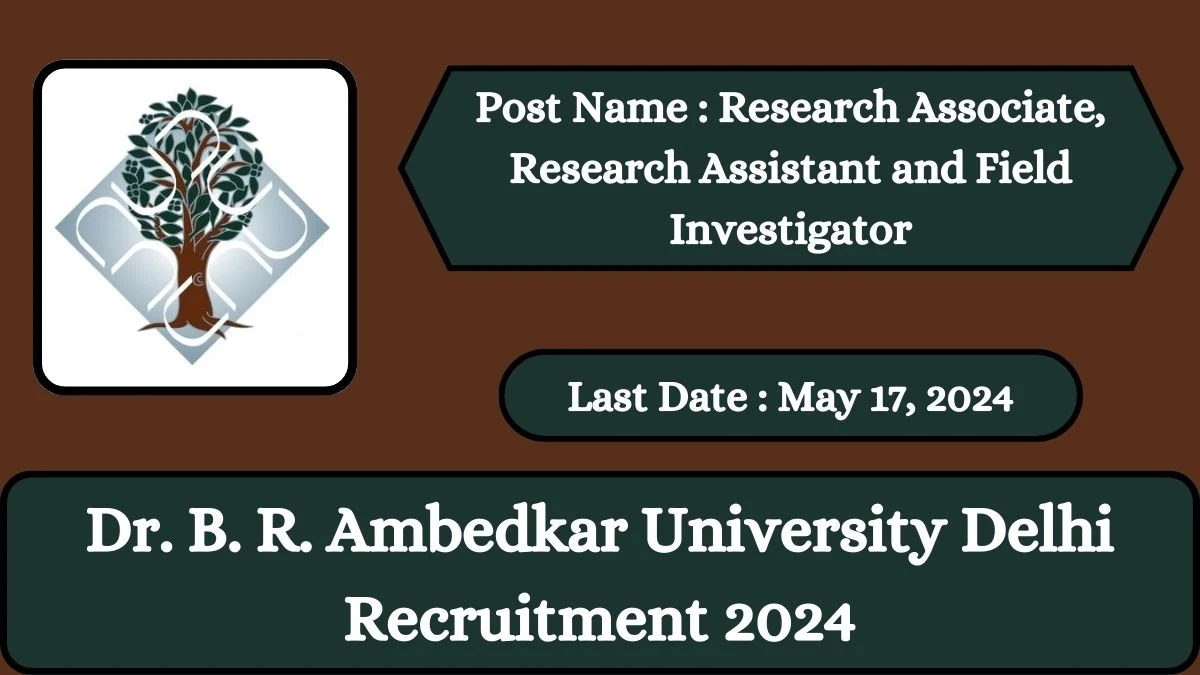 Dr. B. R. Ambedkar University Delhi Recruitment 2024 Check Posts, Qualification And How To Apply