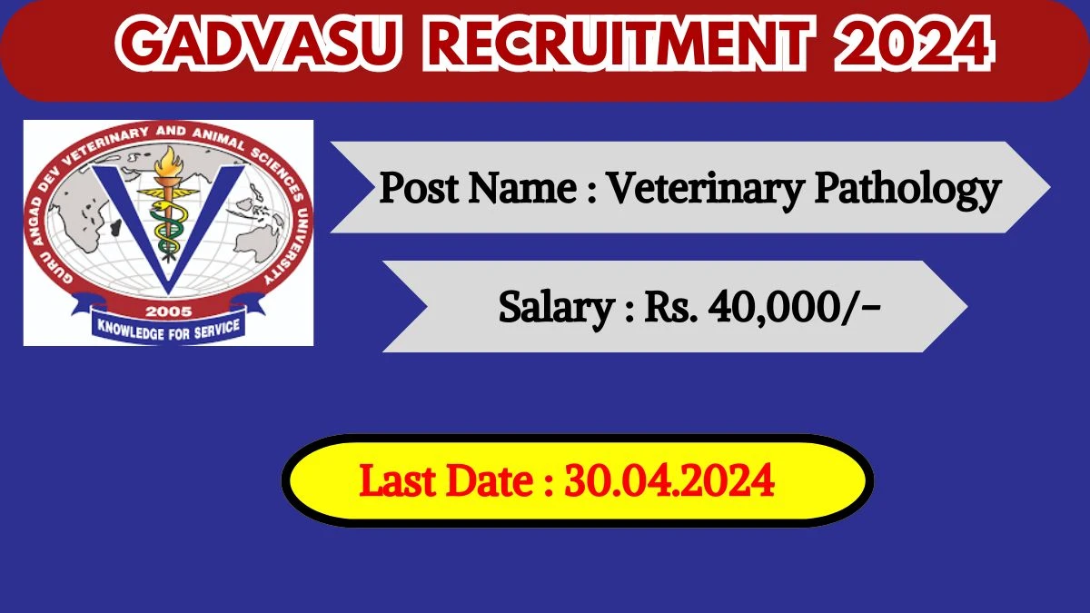 GADVASU Recruitment 2024 Check Post, Qualification, Salary And Other Important Details