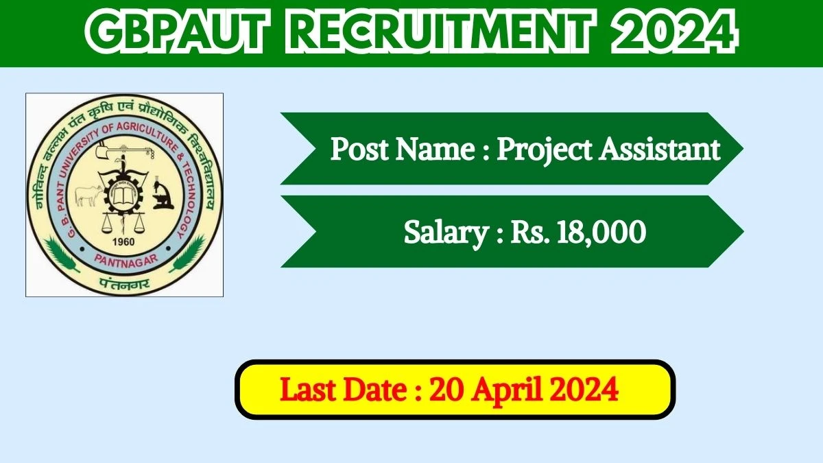 GBPAUT Recruitment 2024 Check Post, Vacancies, Salary, And How To Apply