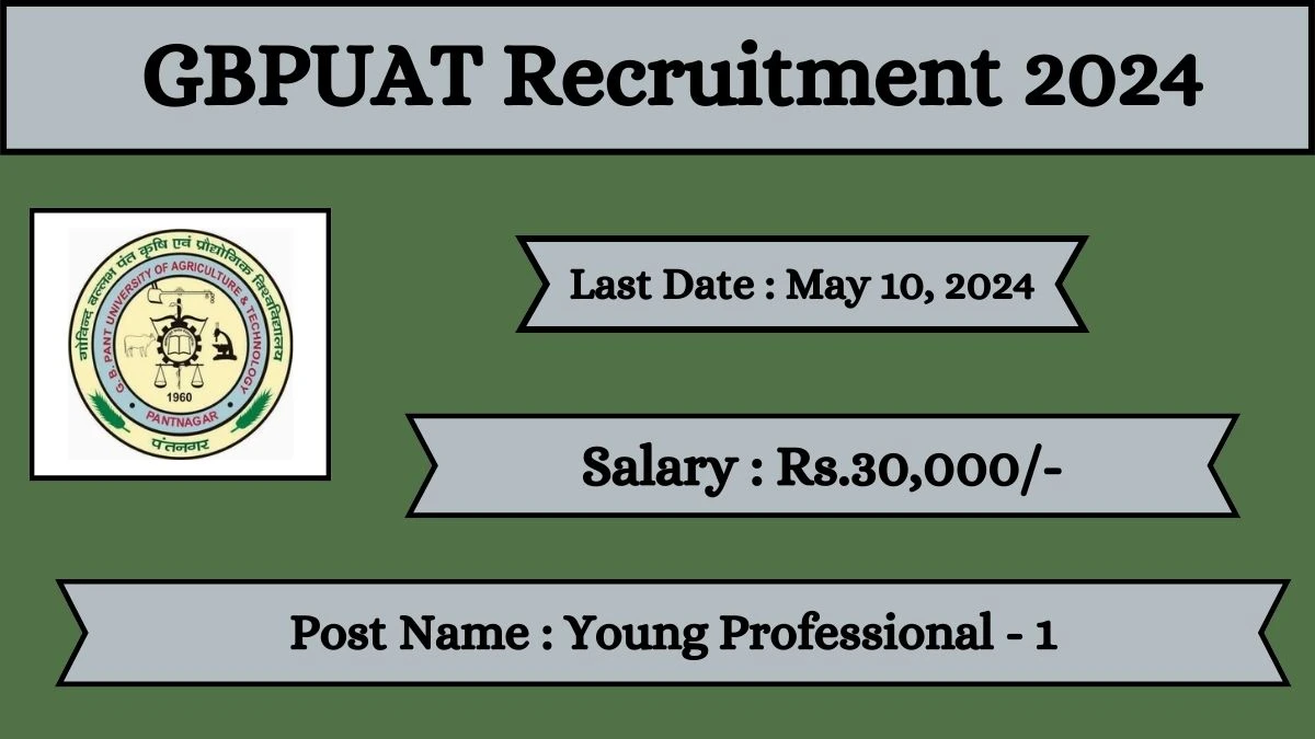 GBPUAT Recruitment 2024 Check Posts, Qualification And How To Apply