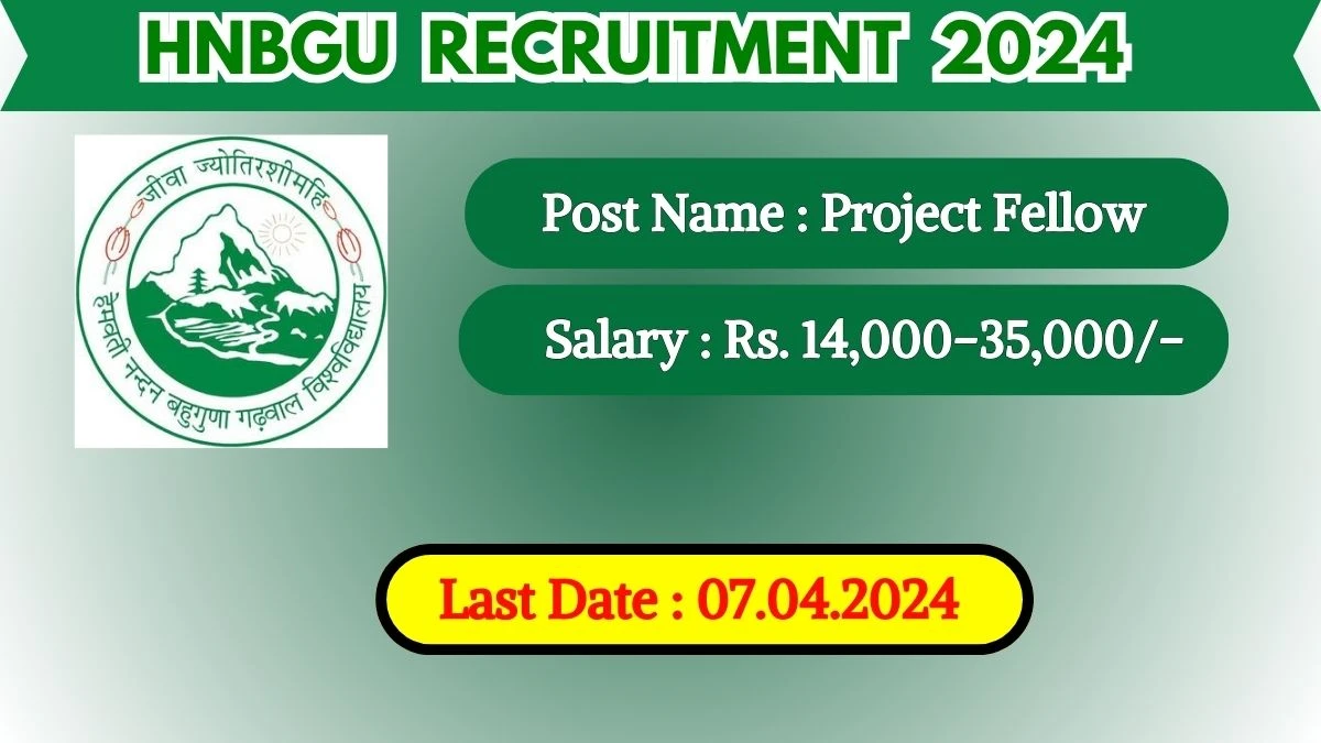 HNBGU Recruitment 2024 Check Post, Tenure, Salary, Qualification And How To Apply