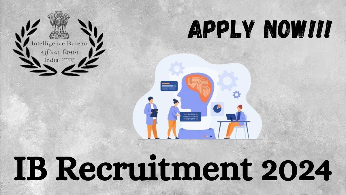 IB Recruitment 2024: New Notification Out For Various Posts, Check Vacancies, Salary, Age, Qualification And Other Important Details