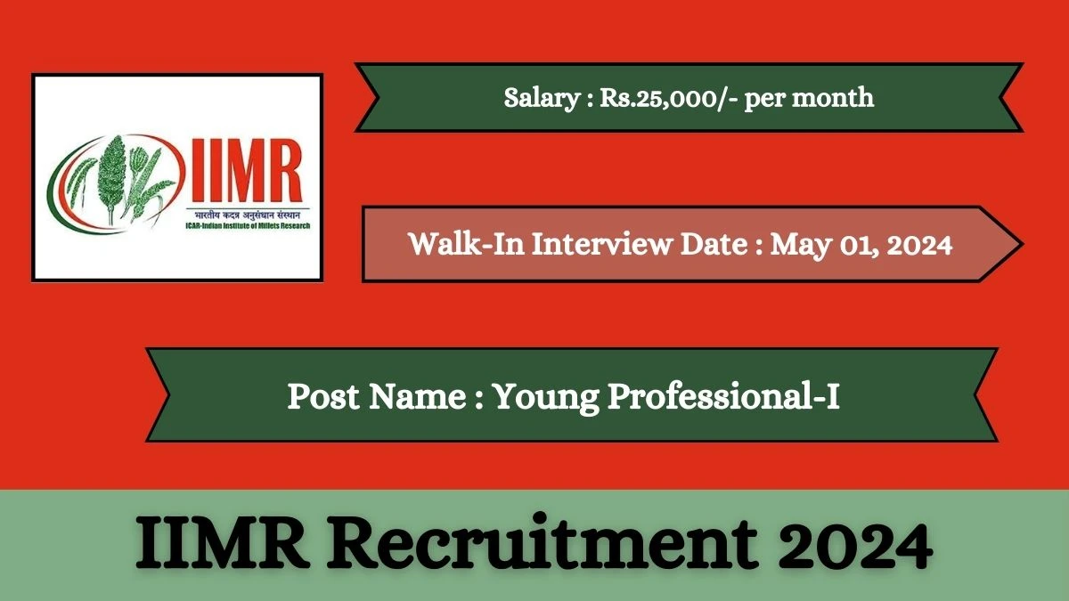 IIMR Recruitment 2024 Walk-In Interviews for Young Professional-I on May 01, 2024