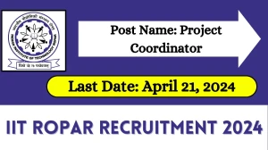 IIT Ropar Recruitment 2024 Check Post, Vacancy, Qualification, Salary And Other Details