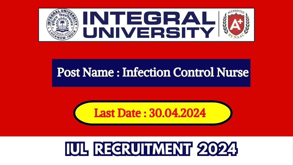 IUL Recruitment 2024 Check Post, Age Limit, Qualification, Salary And How To Apply