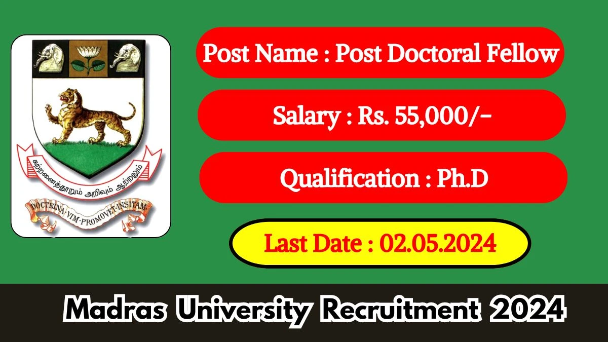 Madras University Recruitment 2024 Monthly Salary Up To 55,000, Check Posts, Vacancies, Qualification and How To Apply