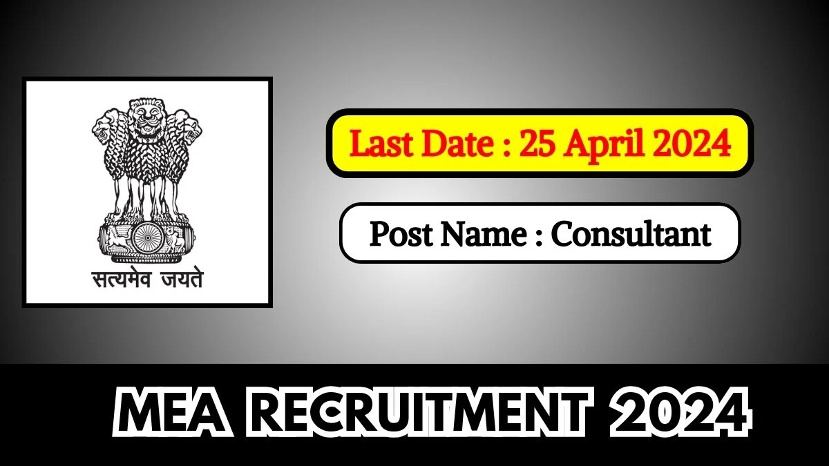 MEA Recruitment 2024 Notification Out For 01 Vacancy, Check Posts, Qualification, Salary, And Other Details