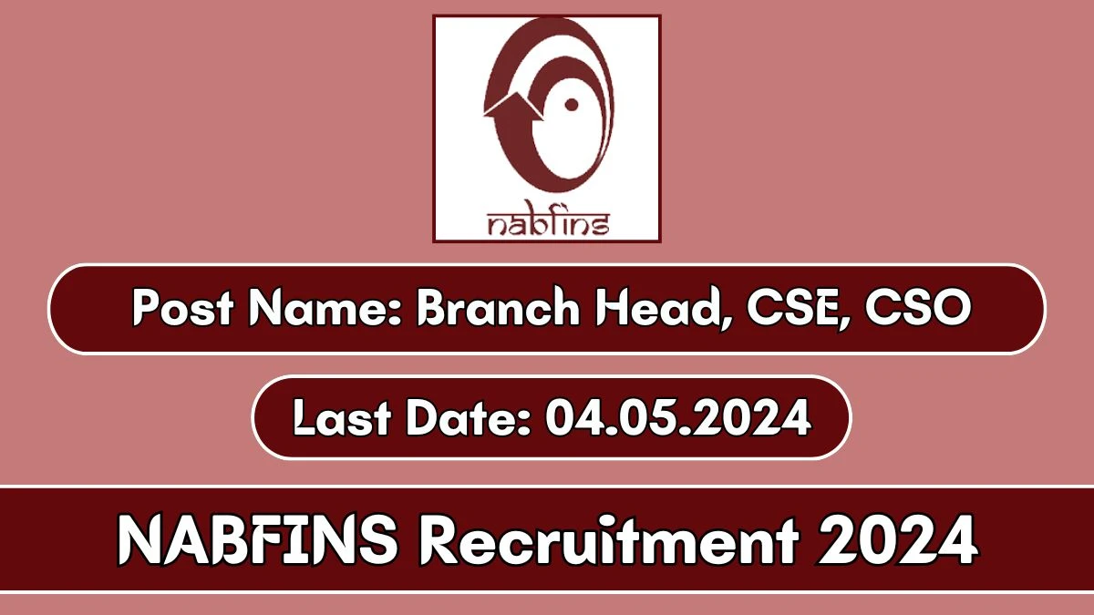 NABFINS Recruitment 2024 - Latest Branch Head, CSE, CSO on 29 April 2024