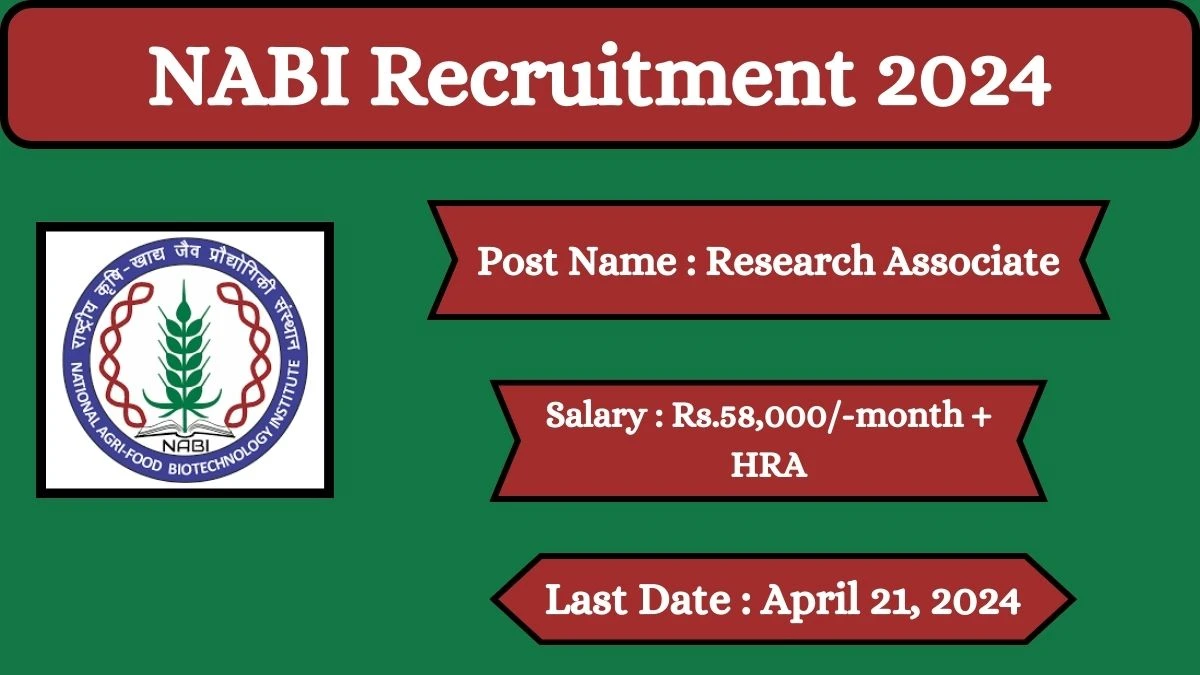 NABI Recruitment 2024 Check Posts, Pay Scale, Qualification, Age Limit, Selection Process And How To Apply