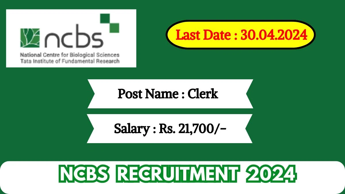 NCBS Recruitment 2024 Check Post, Age Limit, Qualification, Scheme Of Selection And Process To Apply