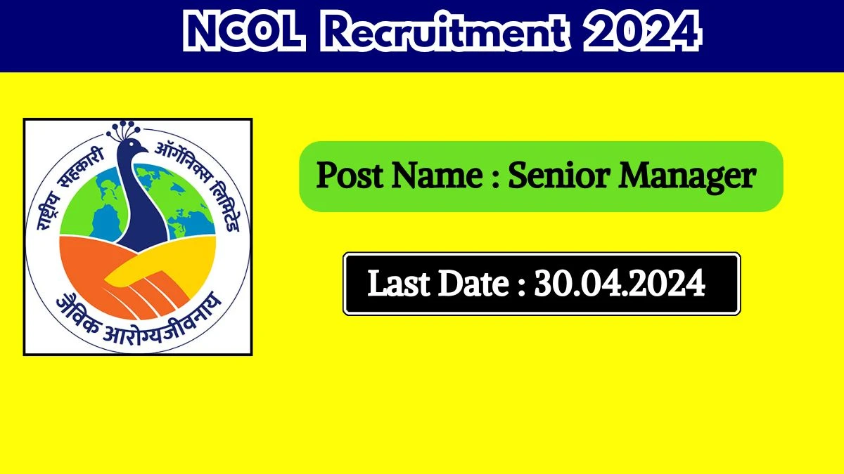 NCOL Recruitment 2024 New Opportunity Out, Check Posts, Remuneration, Eligibility,And Other Information