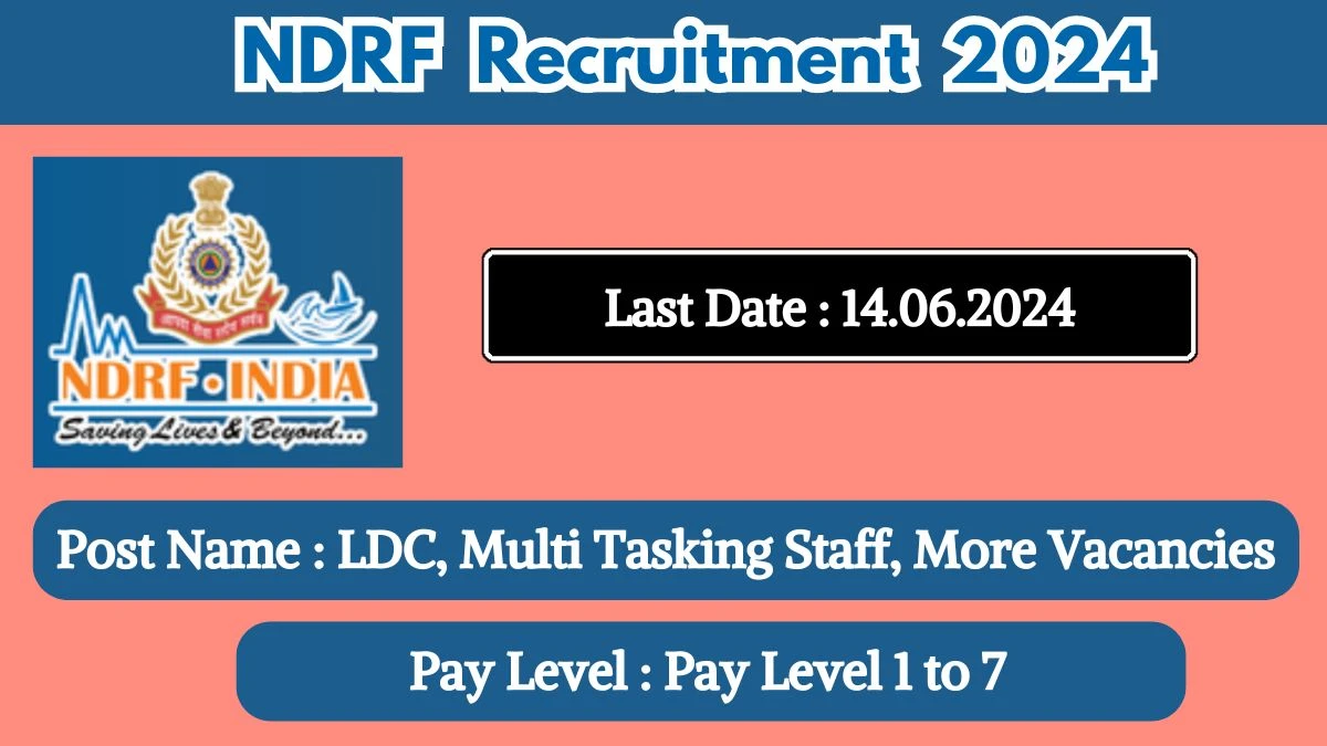 NDRF Recruitment 2024 - Latest LDC, Multi Tasking Staff, More Vacancies on 23 April 2024