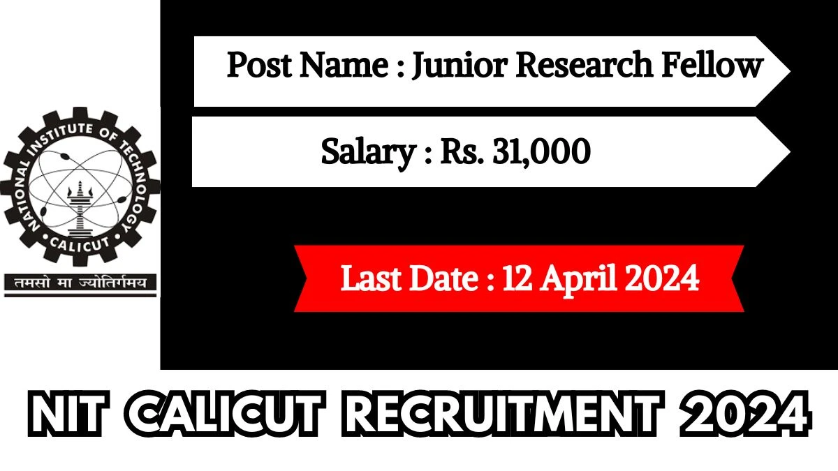 NIT Calicut Recruitment 2024 Salary Up to 31,000 Per Month, Check Posts, Vacancies, Age, Qualification And How To Apply