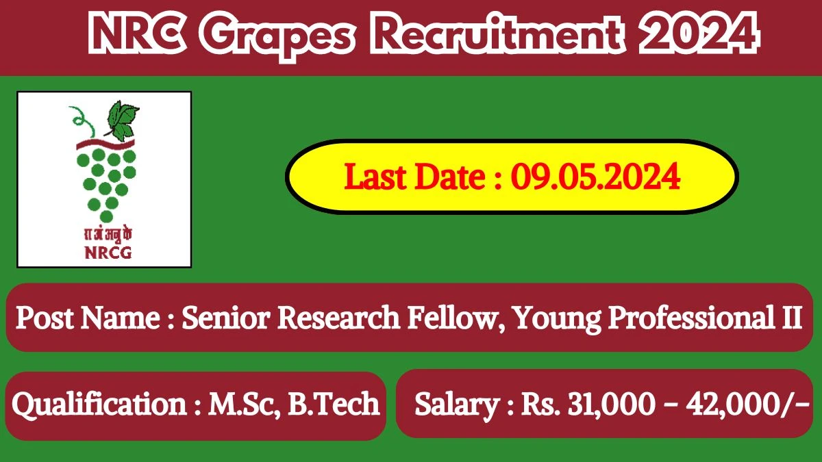 NRC Grapes Recruitment 2024 New Notification Out, Check Post, Vacancies, Salary, Qualification, Age Limit and How to Apply