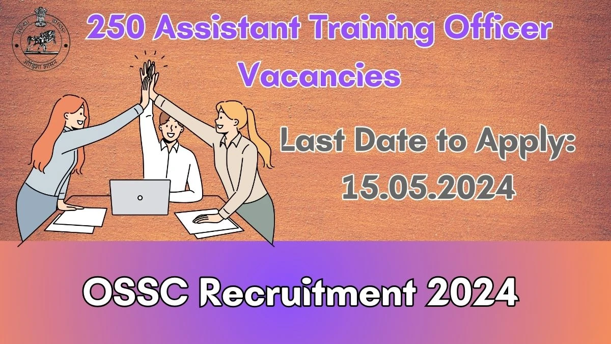 OSSC Recruitment 2024: New Opportunity Out, Check Vacancy, Post, Age, Qualification and How to Apply