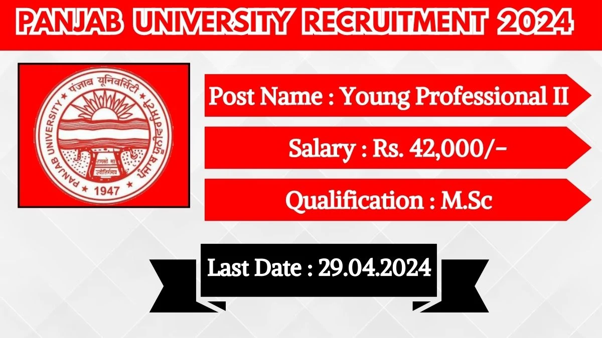 Panjab University Recruitment 2024 Monthly Salary Up To 42,000, Check Posts, Vacancies, Qualification, Age, Selection Process and How To Apply