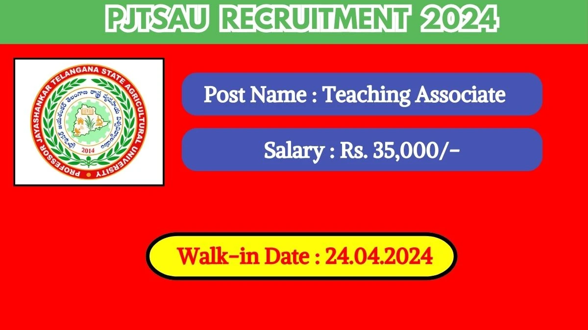 PJTSAU Recruitment 2024 Walk-In Interviews for Teaching Associate on 24.04.2024