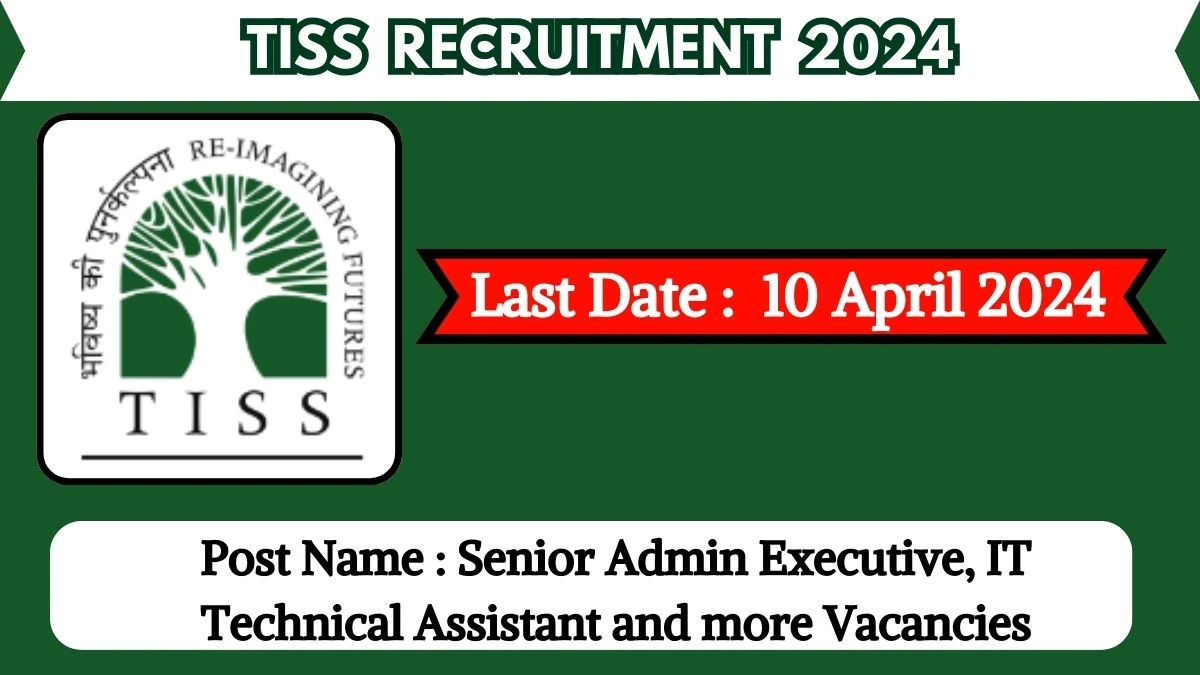 TISS Recruitment 2024 Apply for 04 Senior Admin Executive, IT Technical Assistant and more Vacancies Jobs @ tiss.edu