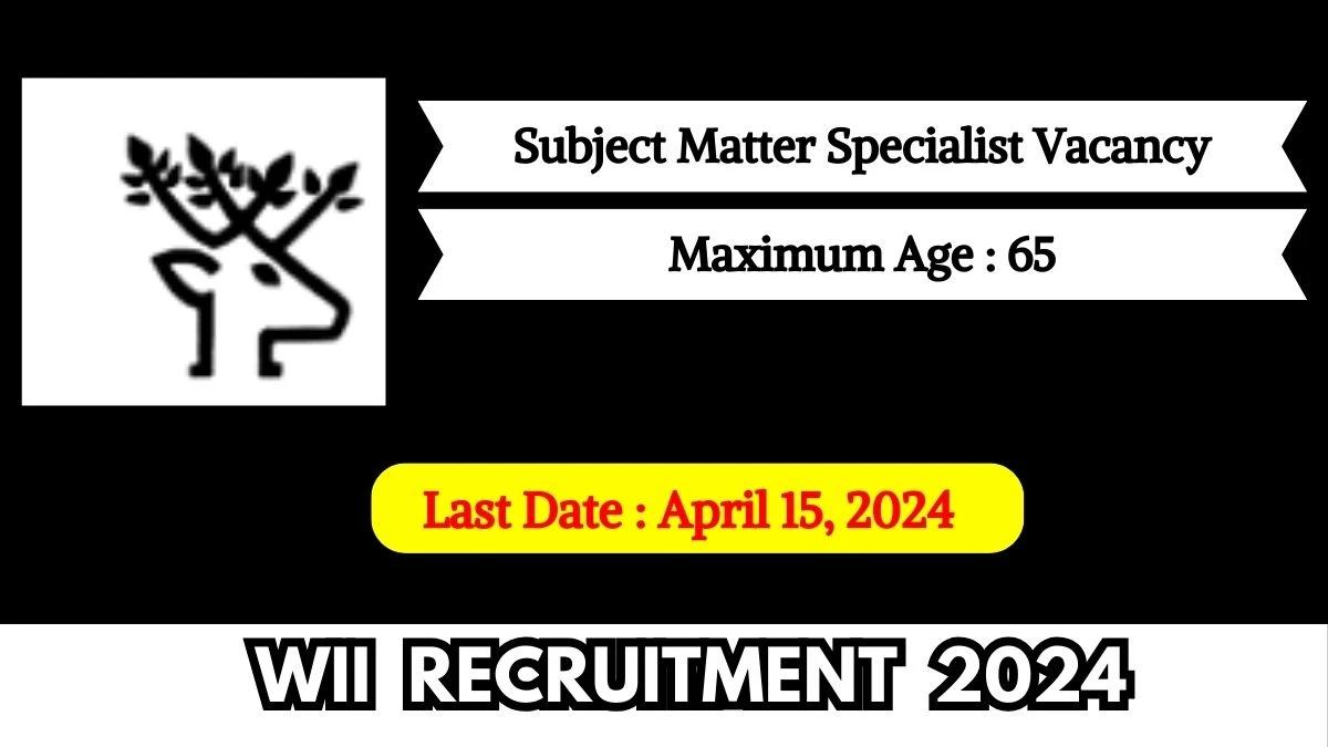 WII Recruitment 2024 Check Post, Salary, Age, Qualification And How To Apply