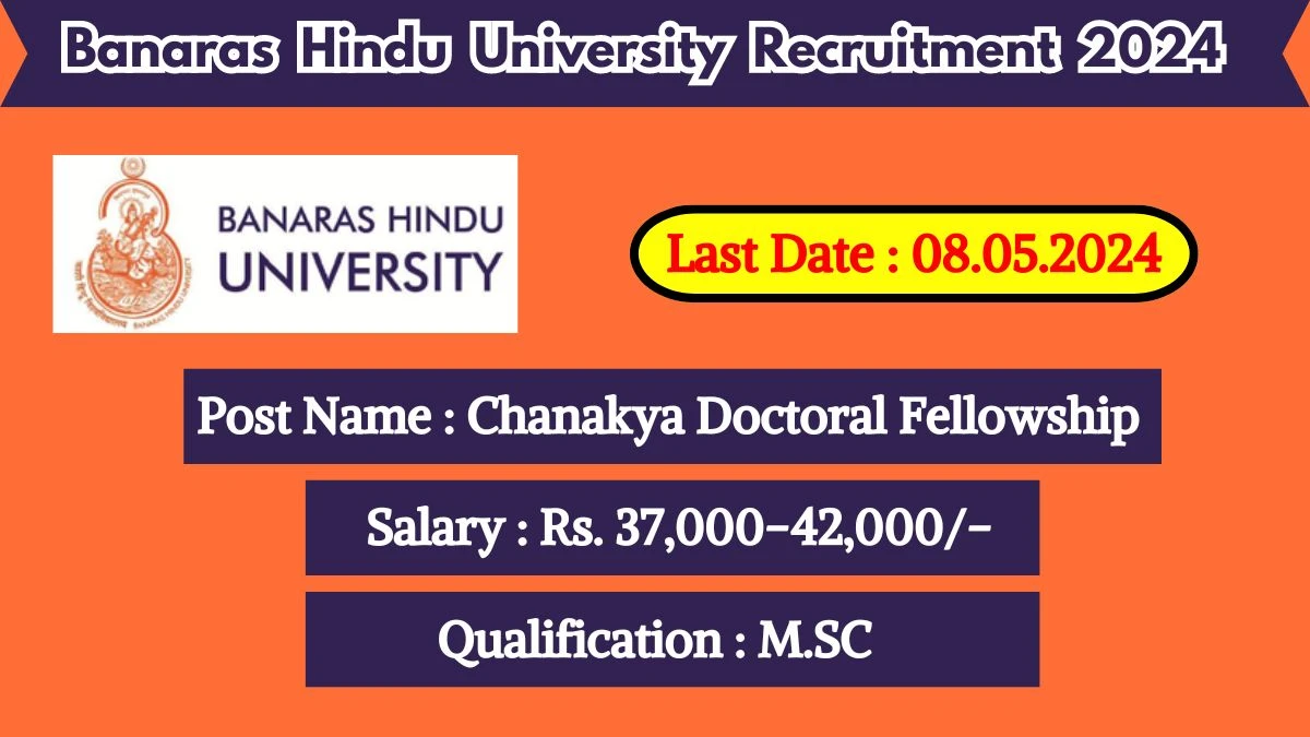 Banaras Hindu University Recruitment 2024 New Notification Out For Various Posts, Check Vacancies, Qualification, Pay Scale And Other Vital Details