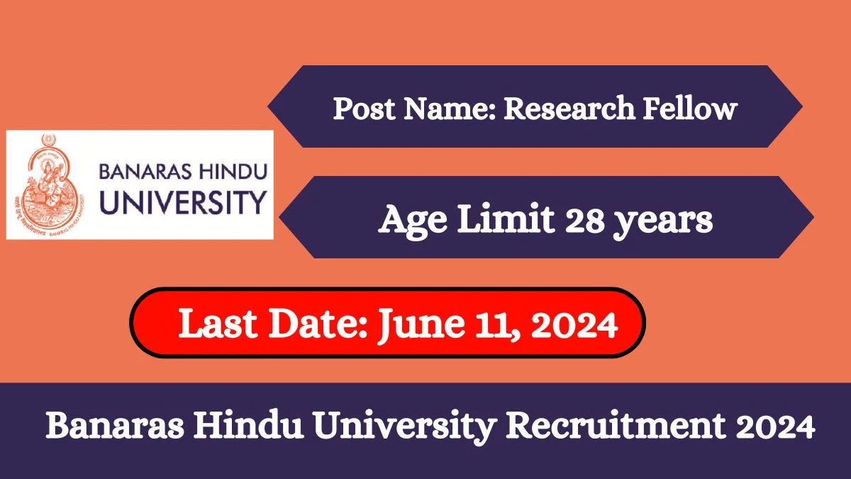 Banaras Hindu University Recruitment 2024 Notification Out, Check Posts, Age, Eligibility And How To Apply