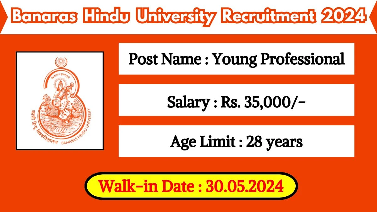 Banaras Hindu University Recruitment 2024 Walk-In Interviews for Young Professional on May 30, 2024