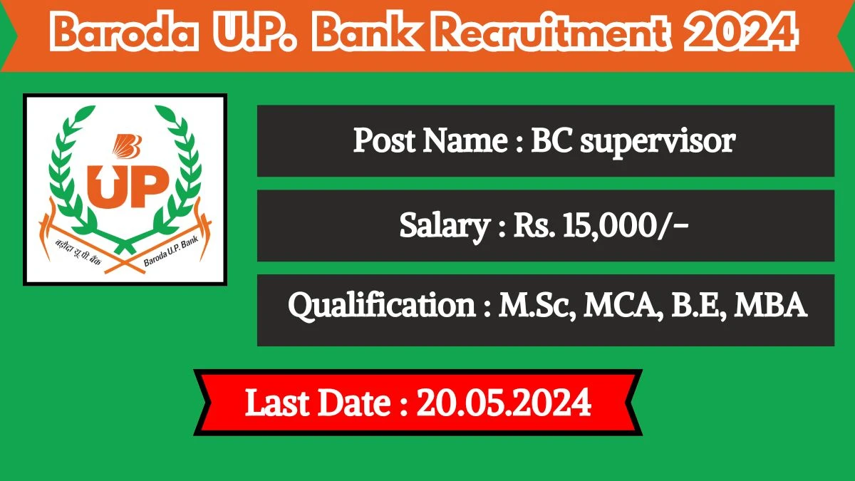 Baroda U.P. Bank Recruitment 2024 New Opportunity Out, Check Vacancy, Post, Qualification and Application Procedure
