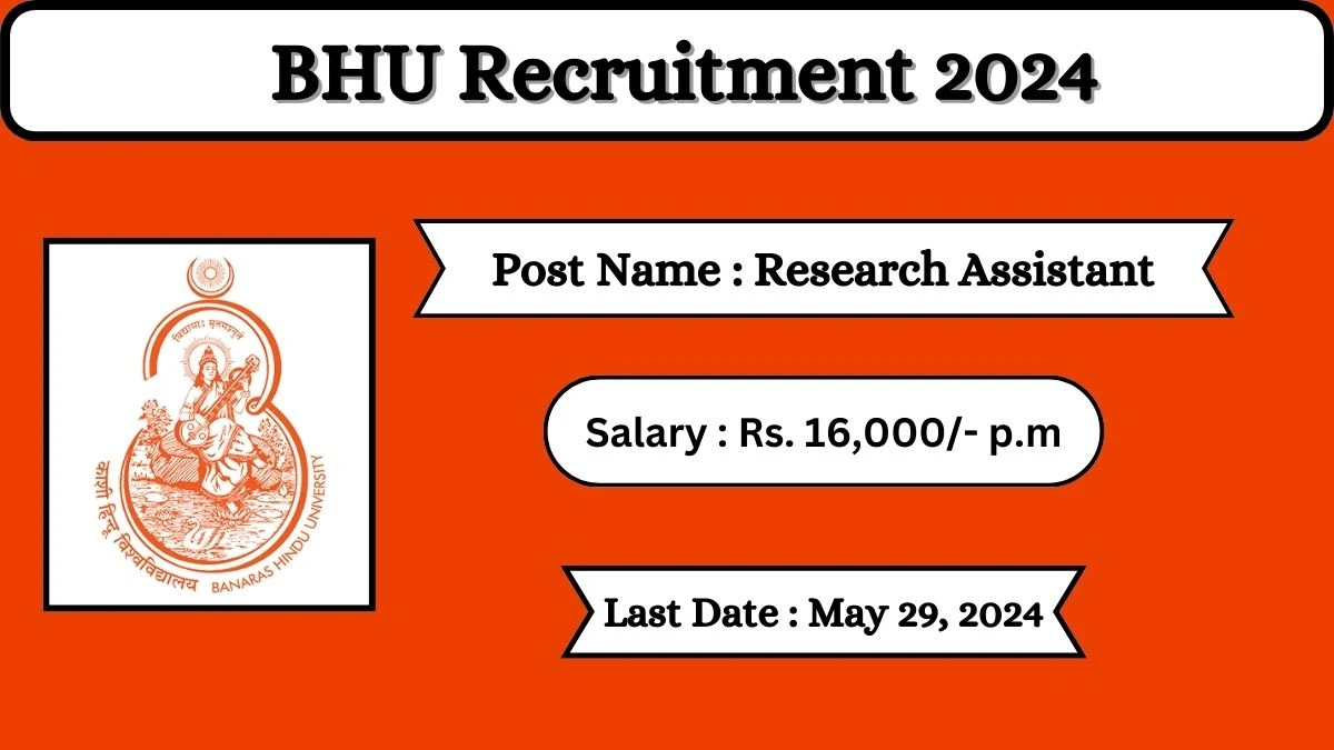 BHU Recruitment 2024 Check Posts, Qualification, Selection Process And How To Apply