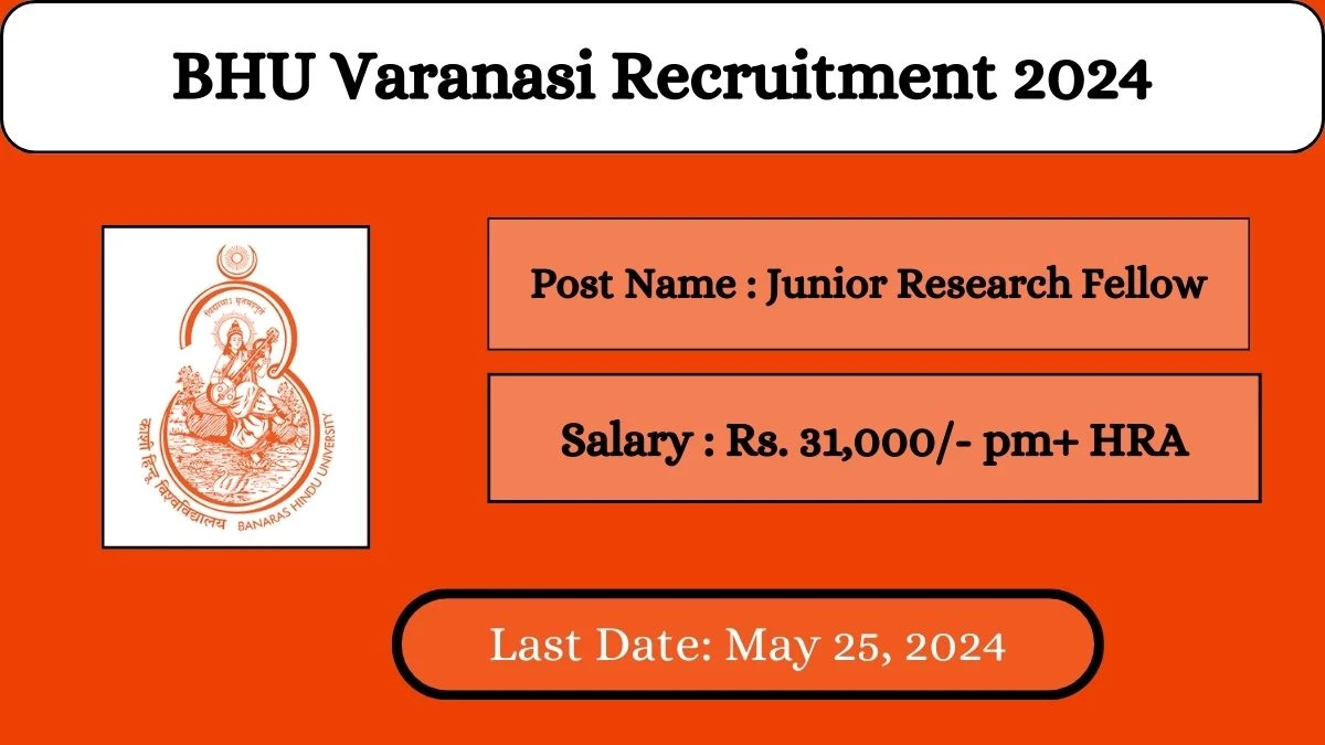 BHU Varanasi Recruitment 2024 Check Posts, Qualification And How To Apply