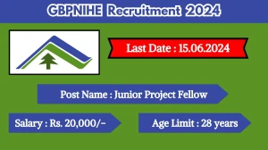 GBPNIHE Recruitment 2024 Check Post, Qualification, Age Limit, Salary And Process To Apply