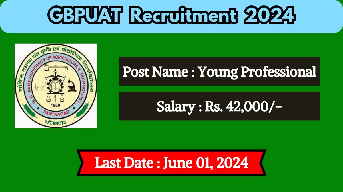 GBPUAT Recruitment 2024 Monthly Salary Up To 42000, Check Post, Qualification, Age, And Process To Apply