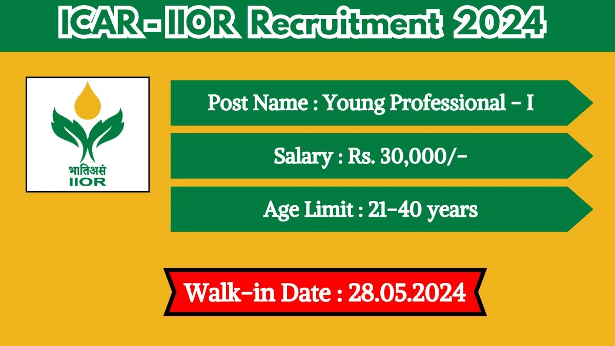 ICAR-IIOR Recruitment 2024 Walk-In Interviews for Young Professional - I on May 28, 2024