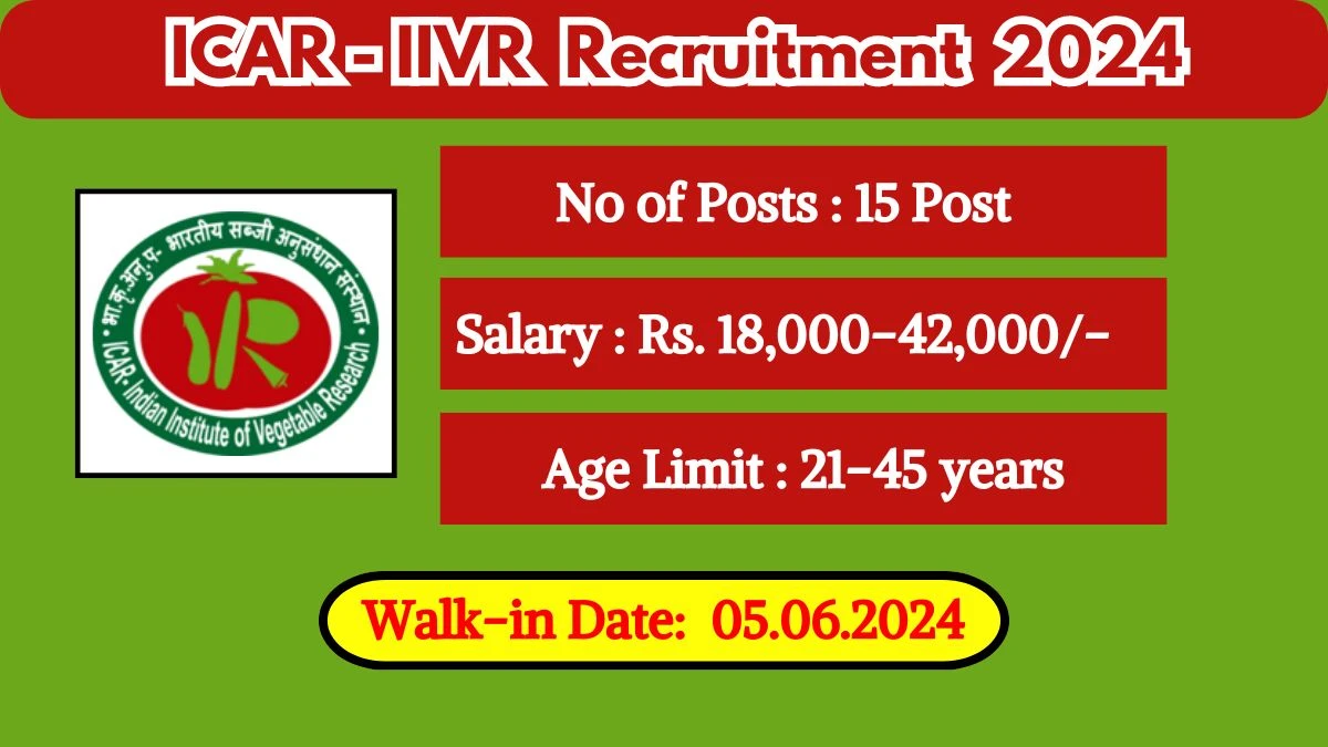 ICAR-IIVR Recruitment 2024 Walk-In Interviews for Young Professionals, Research Associate And More Vacancies on June 05, 2024