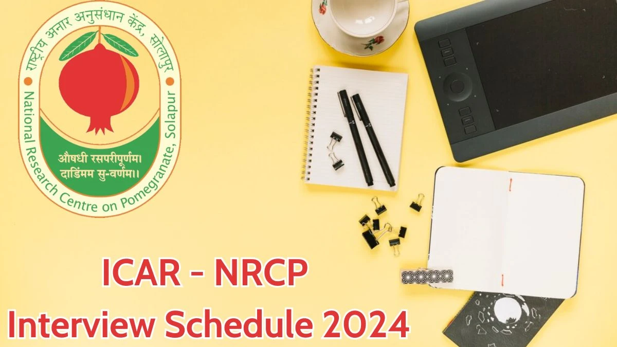 ICAR - NRCP Interview Schedule 2024 for Young Professional Posts Released Check Date Details at nrcpomegranate.icar.gov.in - 27 May 2024