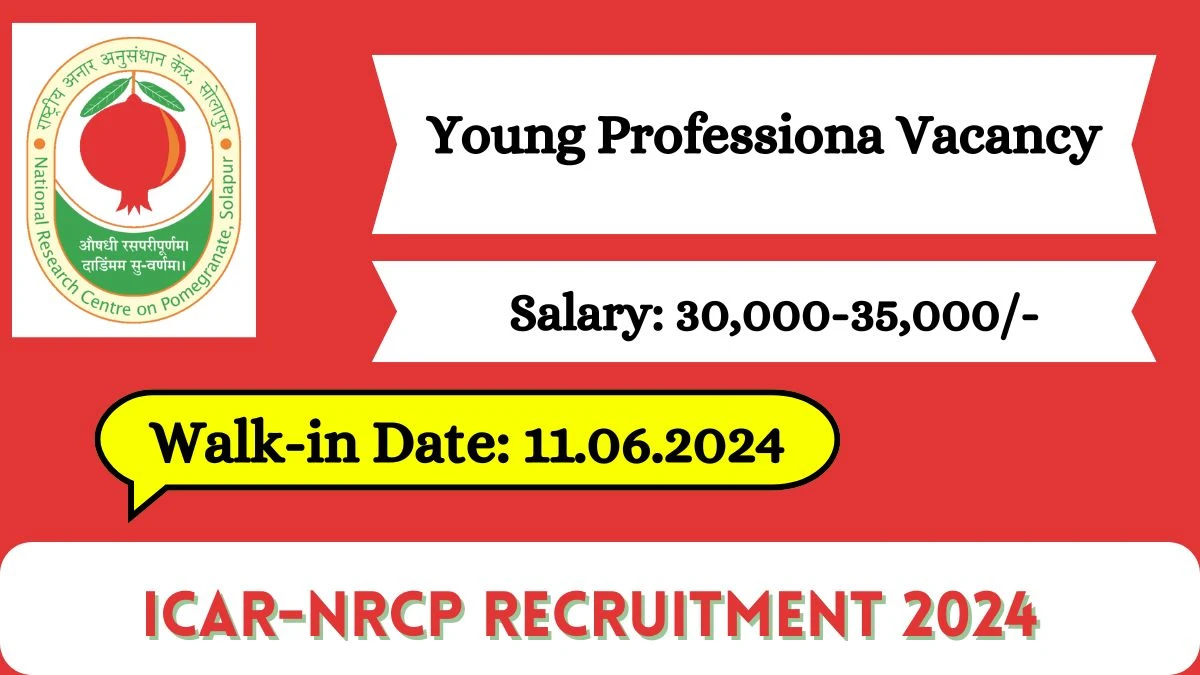 ICAR-NRCP Recruitment 2024 Walk-In Interviews for Young Professional on June 11, 2024