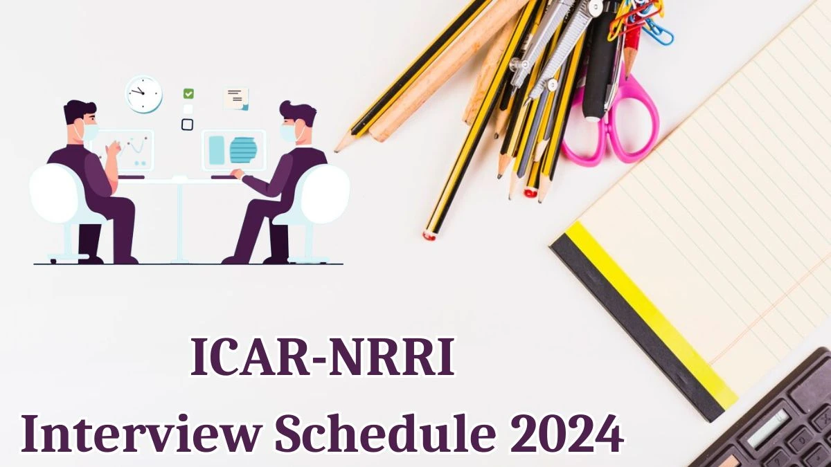 ICAR-NRRI Interview Schedule 2024 Announced Check and Download ICAR-NRRI Young Professional at icar-nrri.in - 16 May 2024