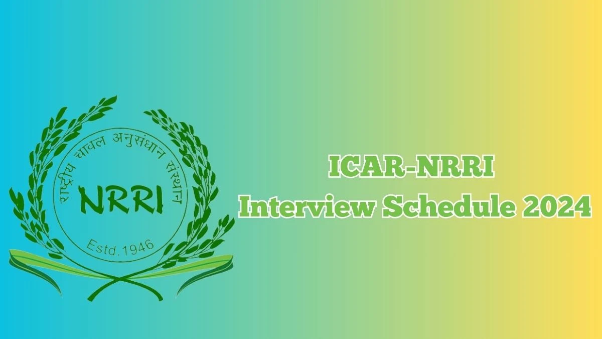 ICAR-NRRI Interview Schedule 2024 for Young Professional-I Posts Released Check Date Details at icar-nrri.in - 09 May 2024