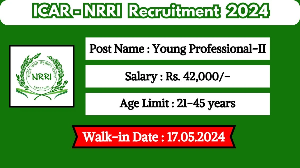ICAR-NRRI Recruitment 2024 Walk-In Interviews for Young Professional-II on May 17, 2024