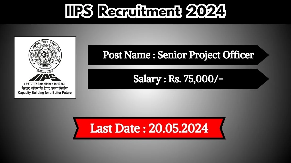 IIPS Recruitment 2024 - Latest Senior Project Officer on 07 May 2024