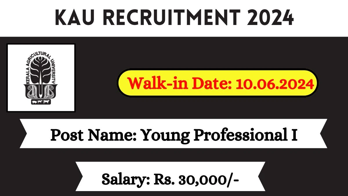 KAU Recruitment 2024 Walk-In Interviews for Young Professional on 10.06.2024